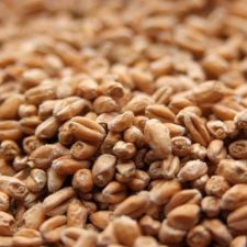 Base Malt - Pale Wheat (500g)